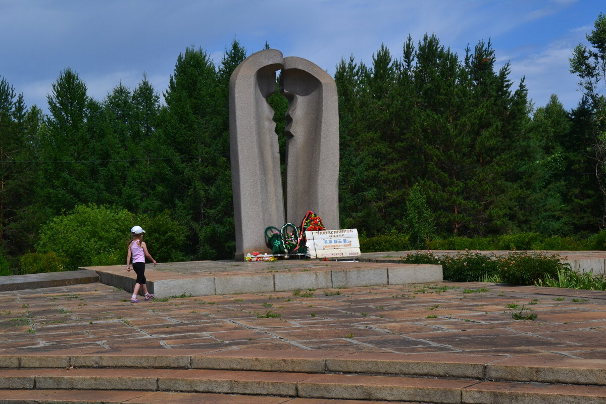 памятник - petyxov петухов
