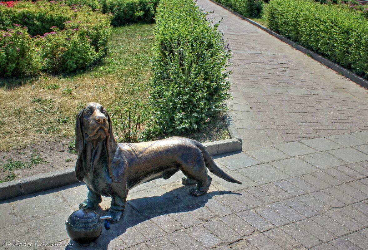 Памятник собаке - Andrey Lomakin