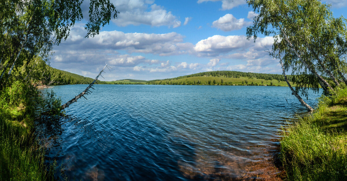 Панорама у озера - Алексей Мезенцев
