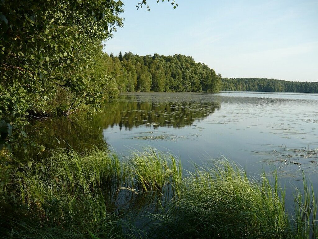 Озеро - Вера Щукина