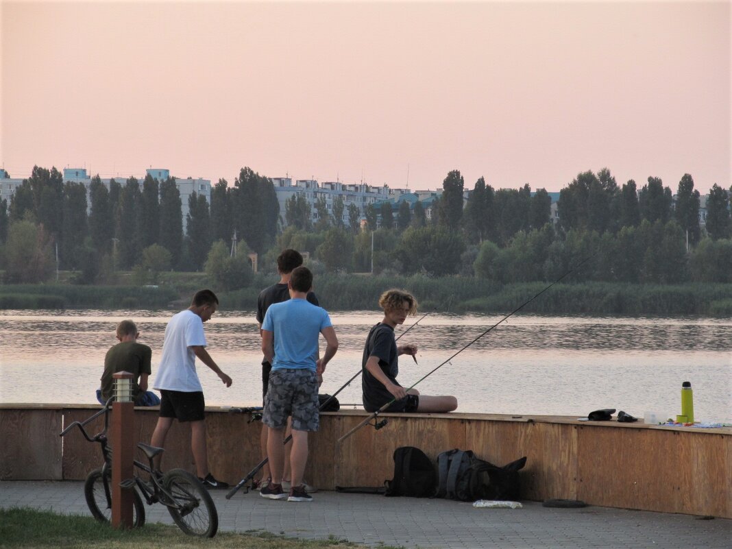 мальчишки рыбачат на заре - Елена Шаламова