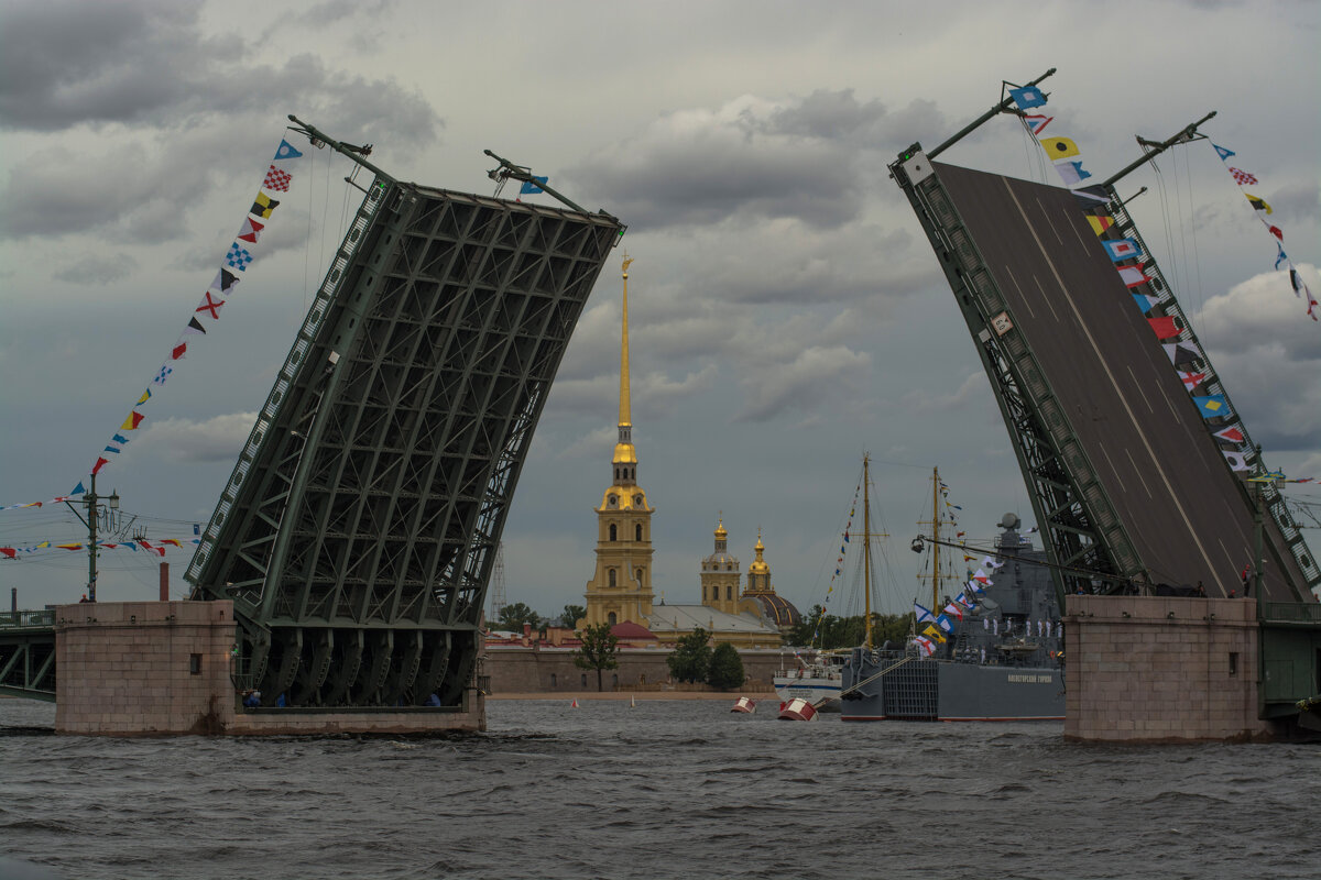 Дворцовый мост - Наталья Левина