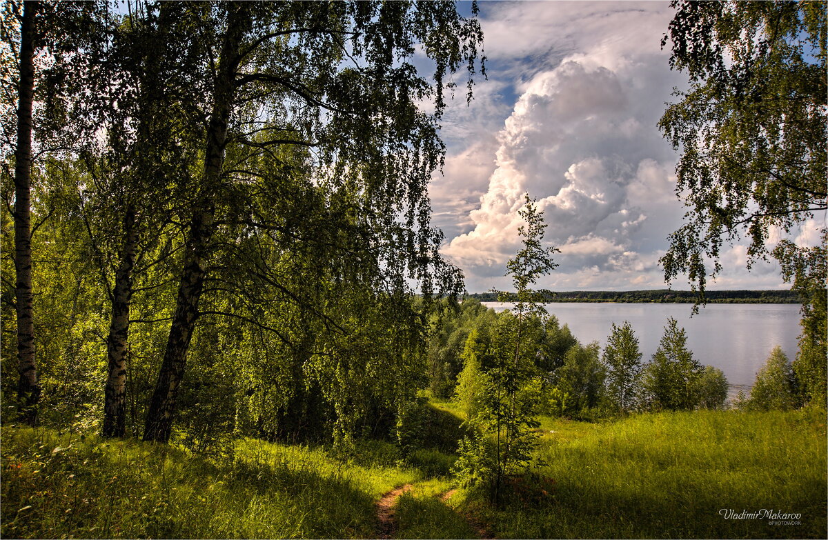 "Лето на Волге"© - Владимир Макаров