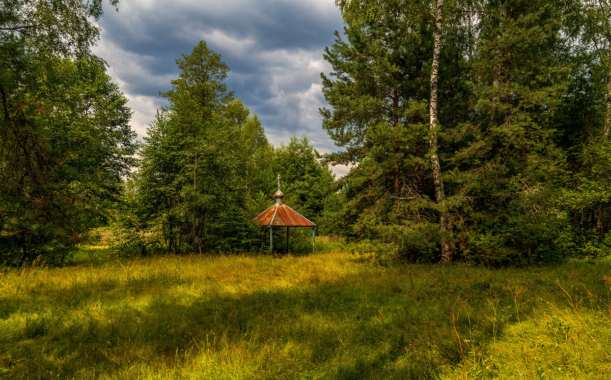 Колодец в лесу - Андрей Дворников