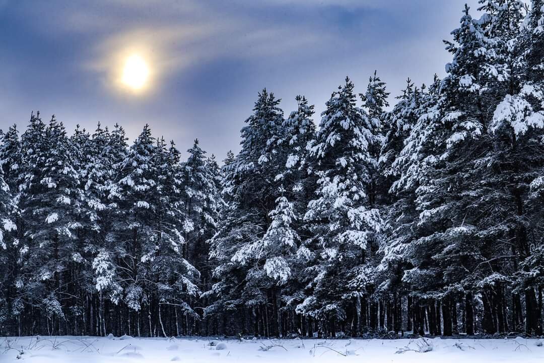Зимний пейзаж - Екатерина Счасная