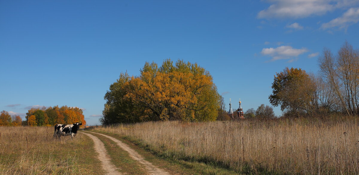 Село. - Алекс Ант