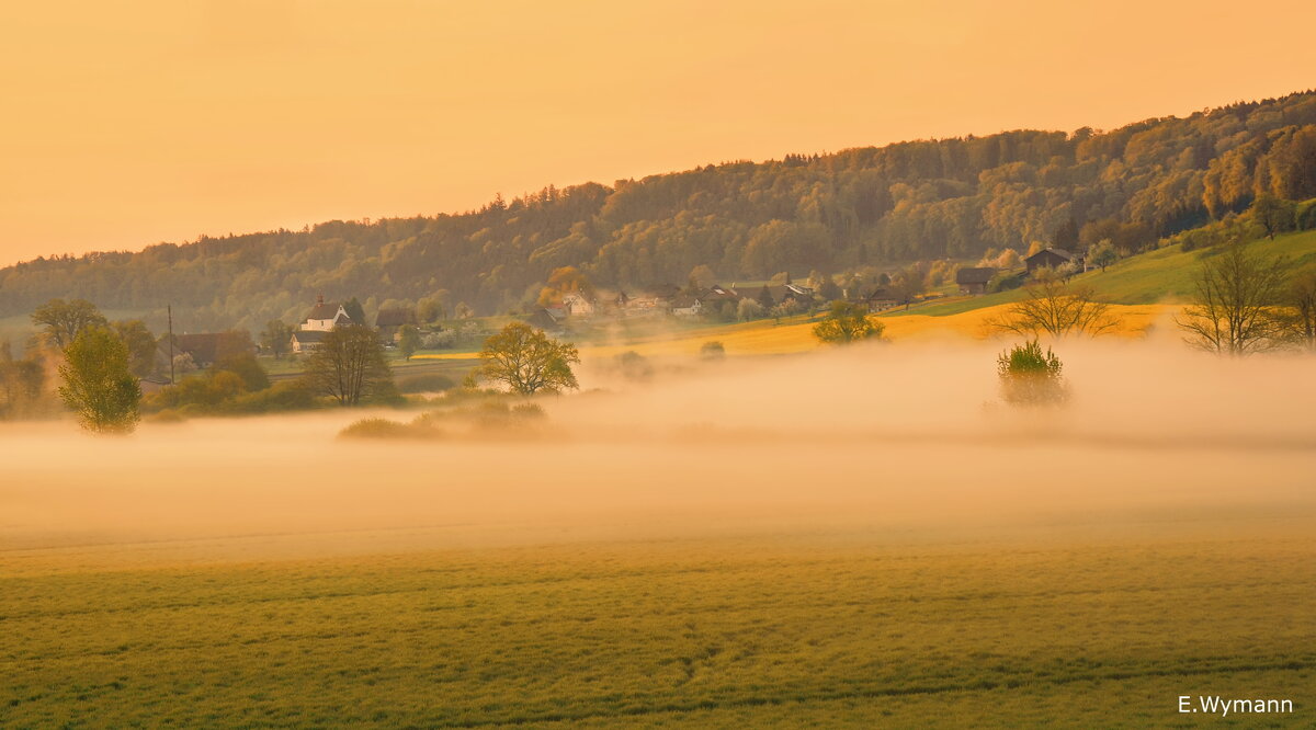 misty morning - Elena Wymann