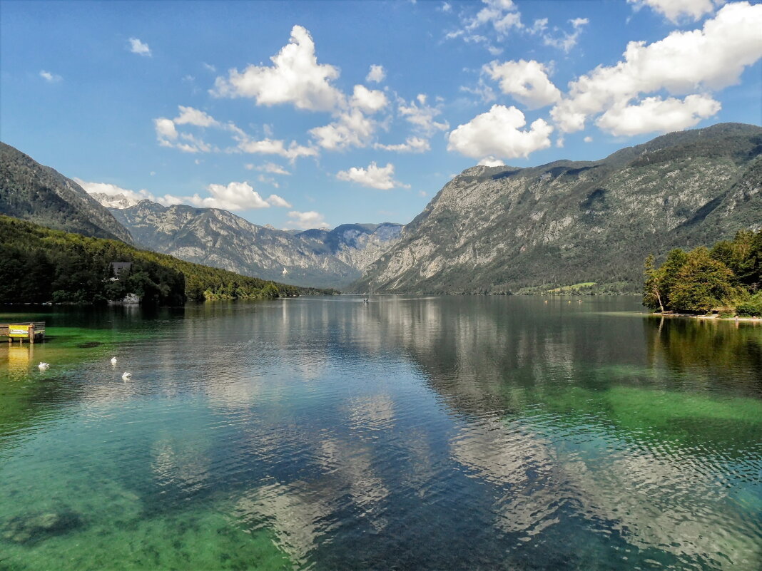 Озеро Бохинь, Словения. - Elena Ророva