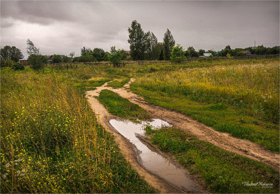 "По пути в Яндово. После дождя"© - Владимир Макаров