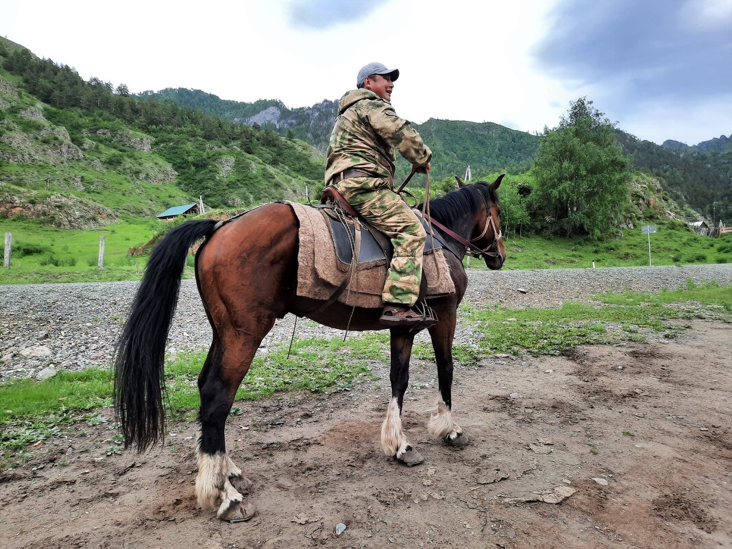 Алтайский гид - pec-2008 