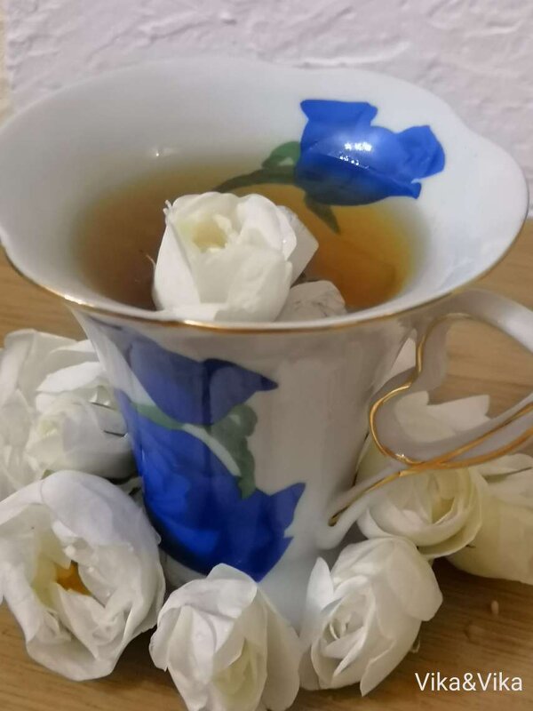 чайная роза - вика 