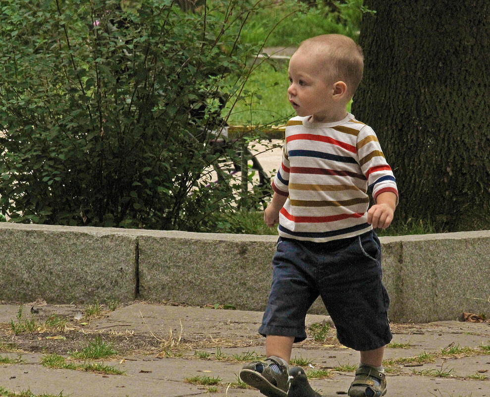 Мальчик на прогулке. - barsuk lesnoi