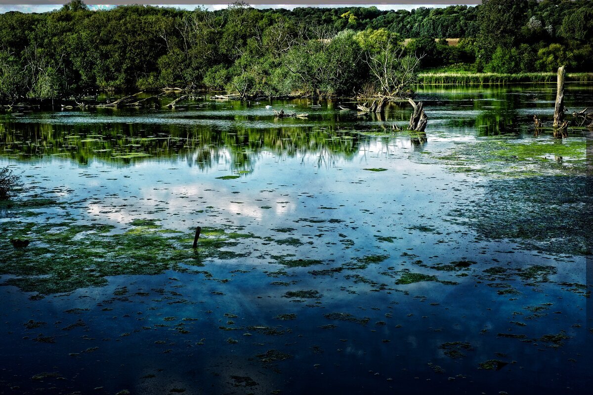 reflect - Malcolm Hobson 