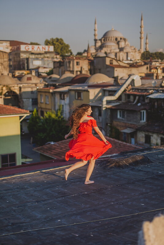Рассвет на крыше Стамбула - Ирина Лепнёва