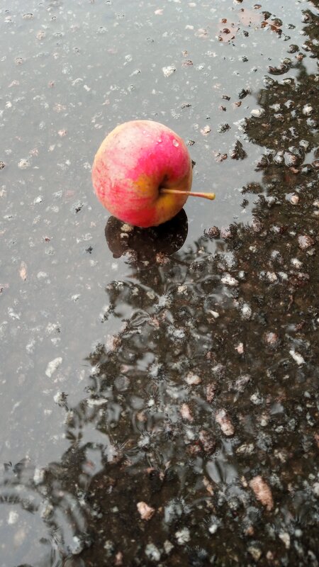яблоки на дожде - Наталия П