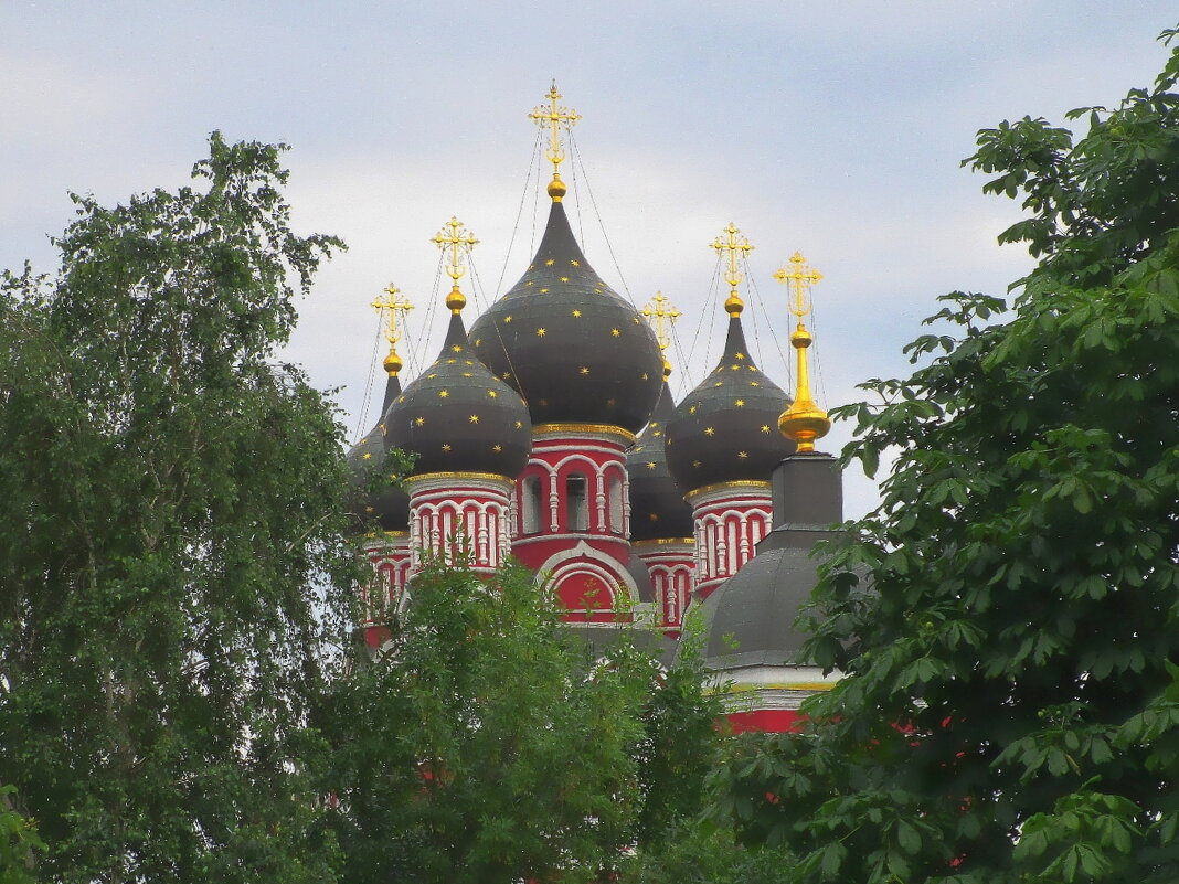 Купола Тихвинского храма в Алексеевском - Ольга Довженко