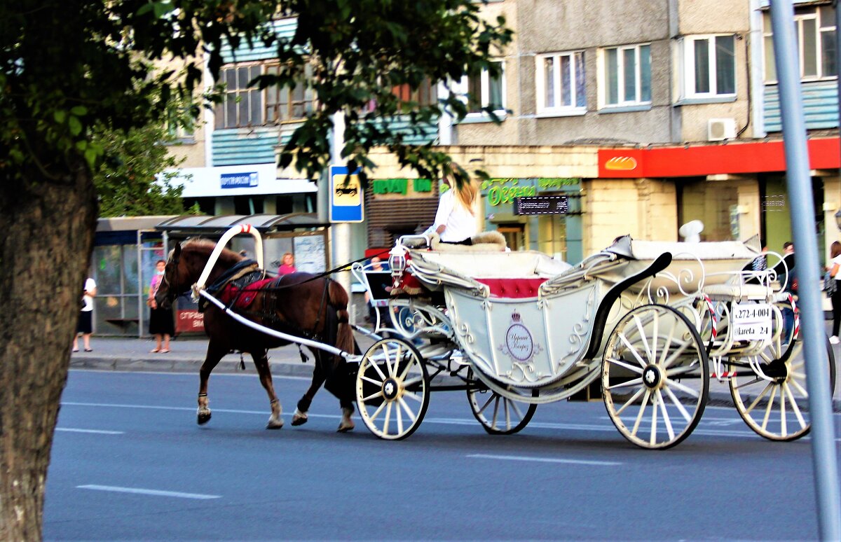 Королевский транспорт - Василий 