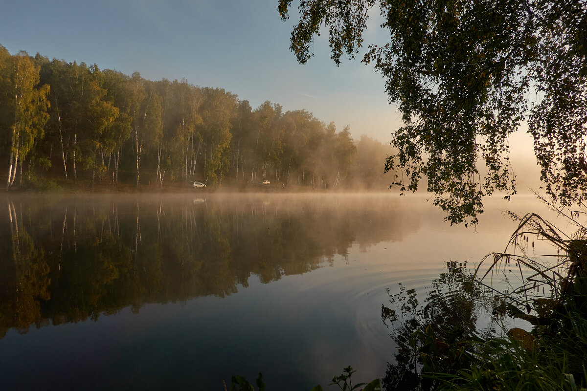 *** - Владимир 