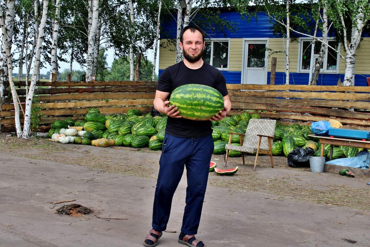 Сладка ягода. - Восковых Анна Васильевна 