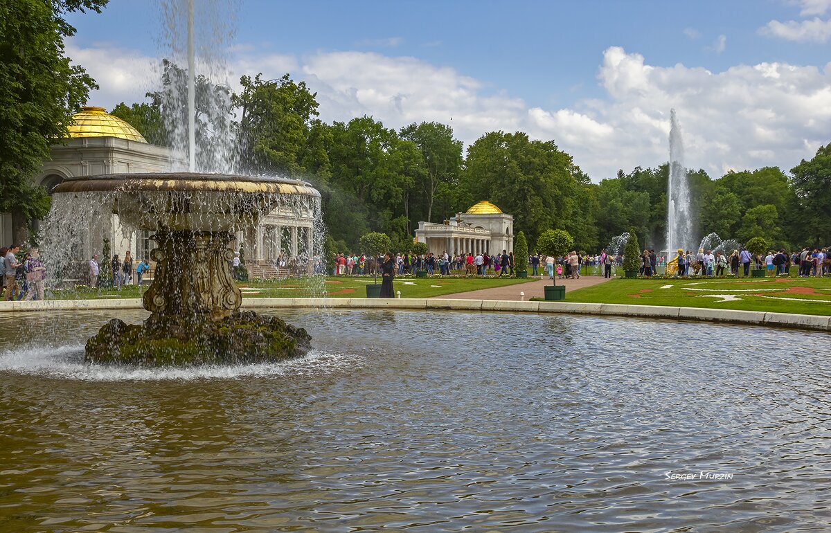 В парке - Сергей Мурзин