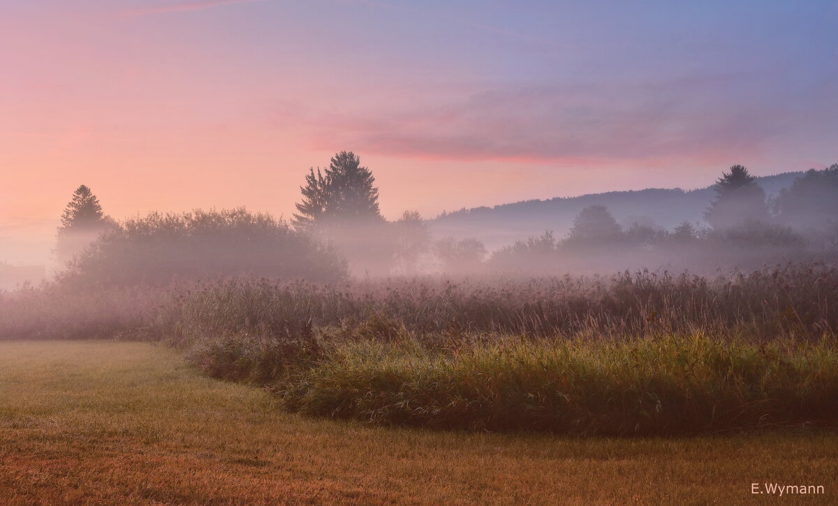 misty morning - Elena Wymann