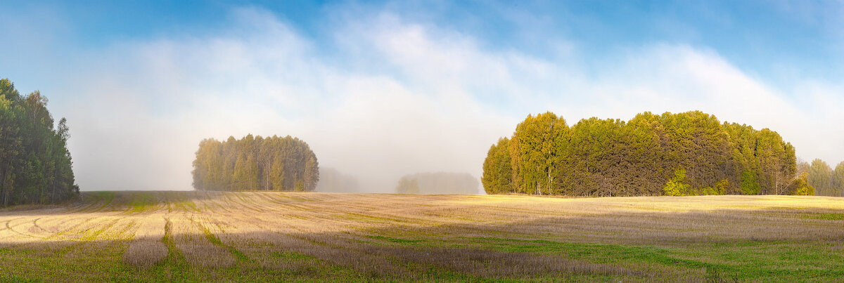 Утренний туман в сибирском лесу - Владимир Деньгуб
