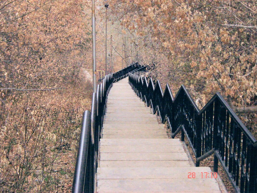 лестница к реке Каменка - peretz 