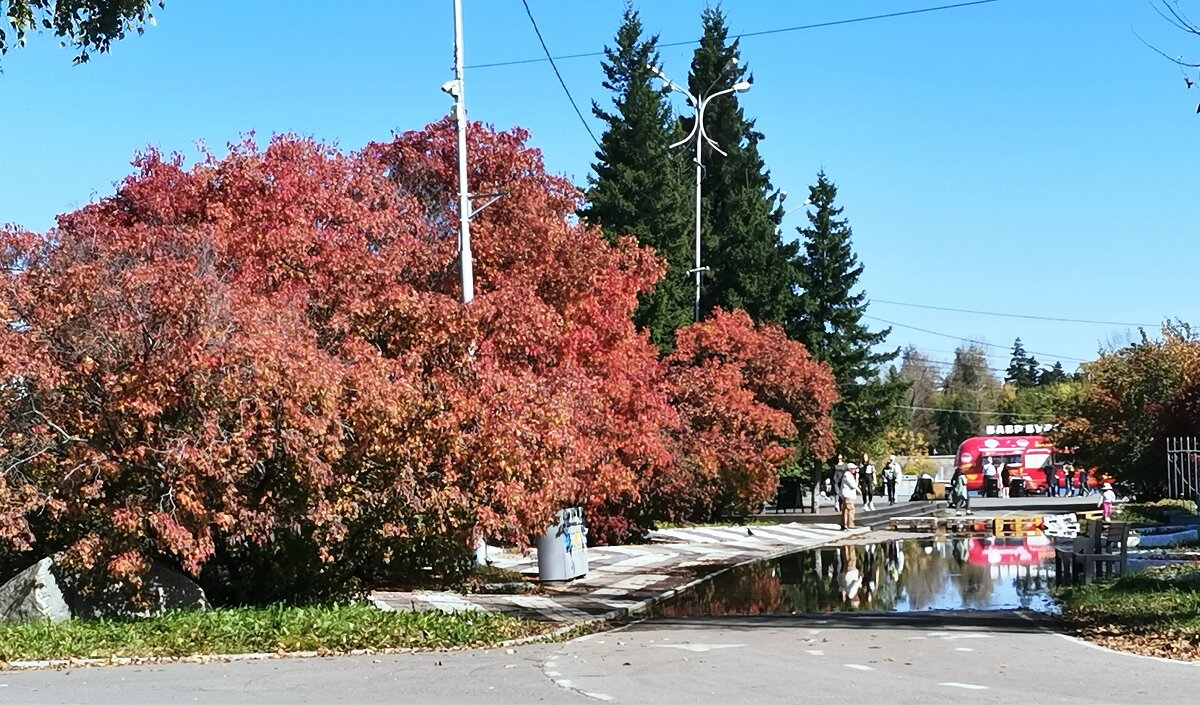 Осень в городе. - Наталья Тимофеева