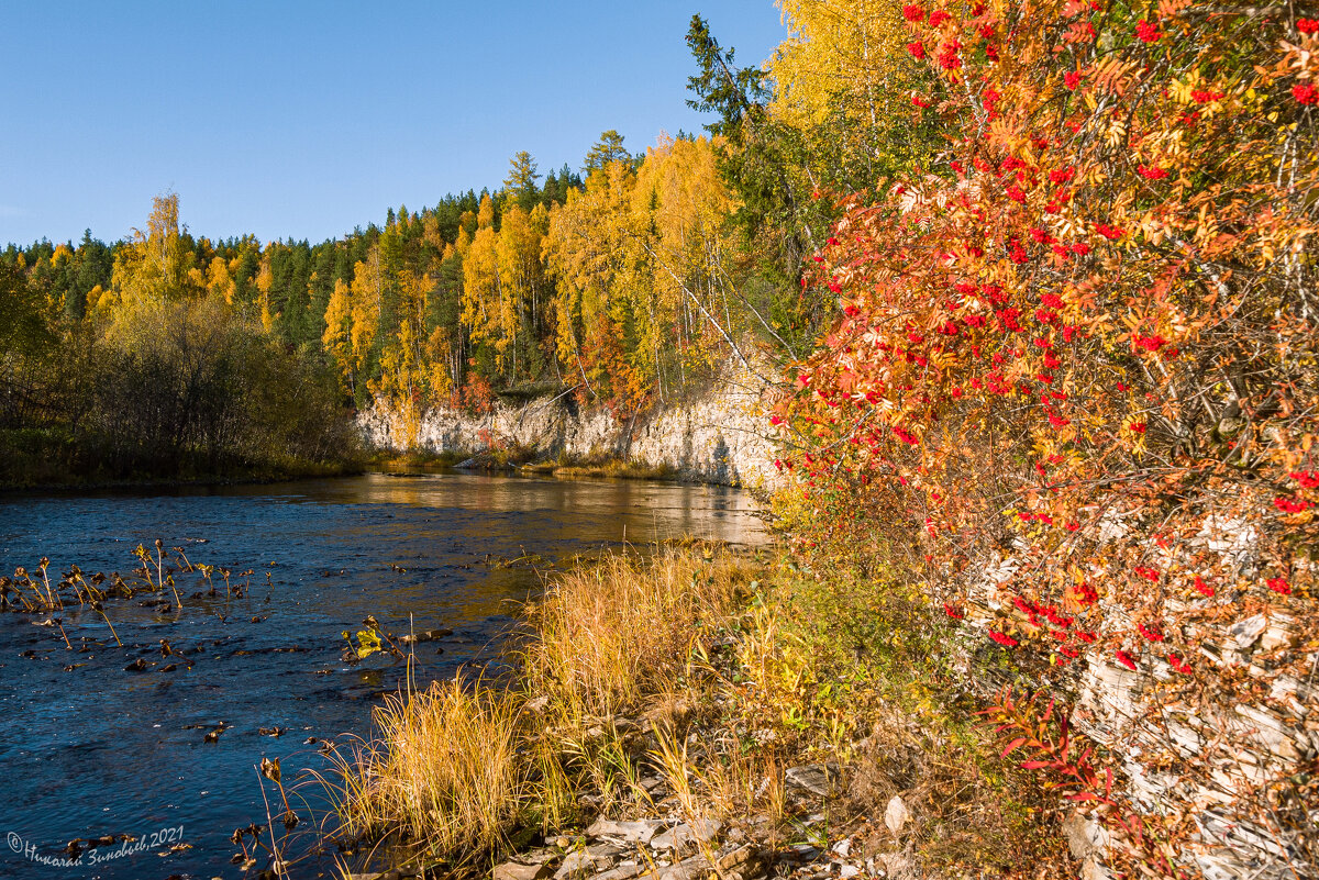 Очень красивая в этом году осень на таёжной реке Чуть. Около 20 км от Ухты, Республика Коми. - Николай Зиновьев