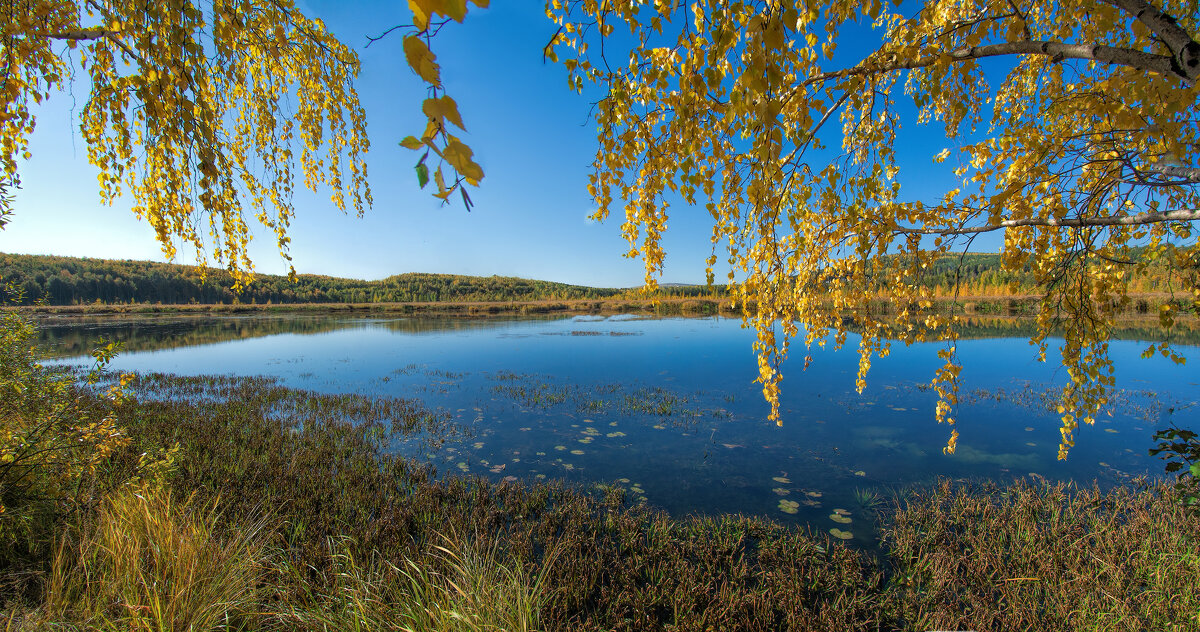 Осенняя панорама - Vladimbormotov 