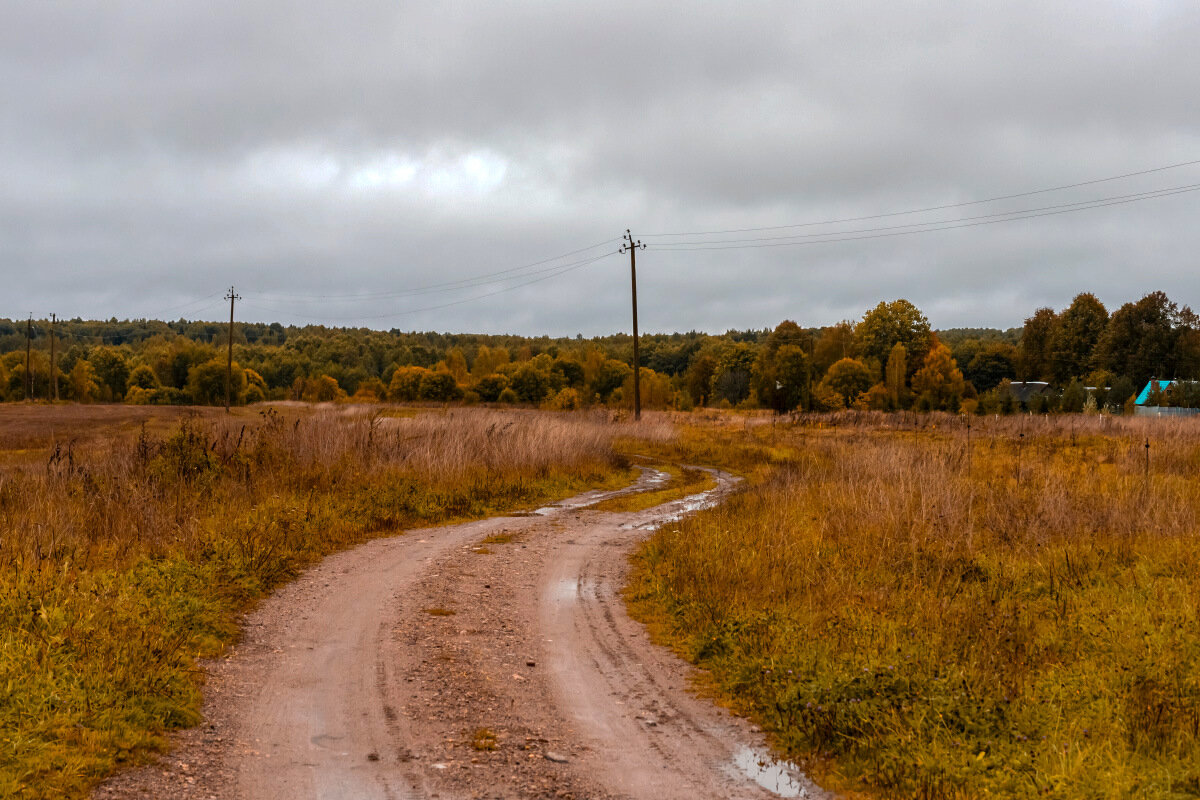 Дорога - Александр 