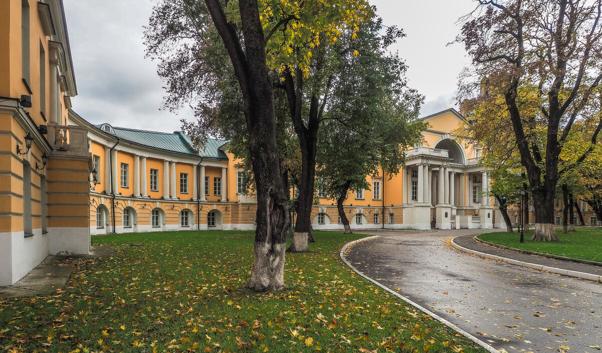 В Усадьбе Разумовского - юрий поляков