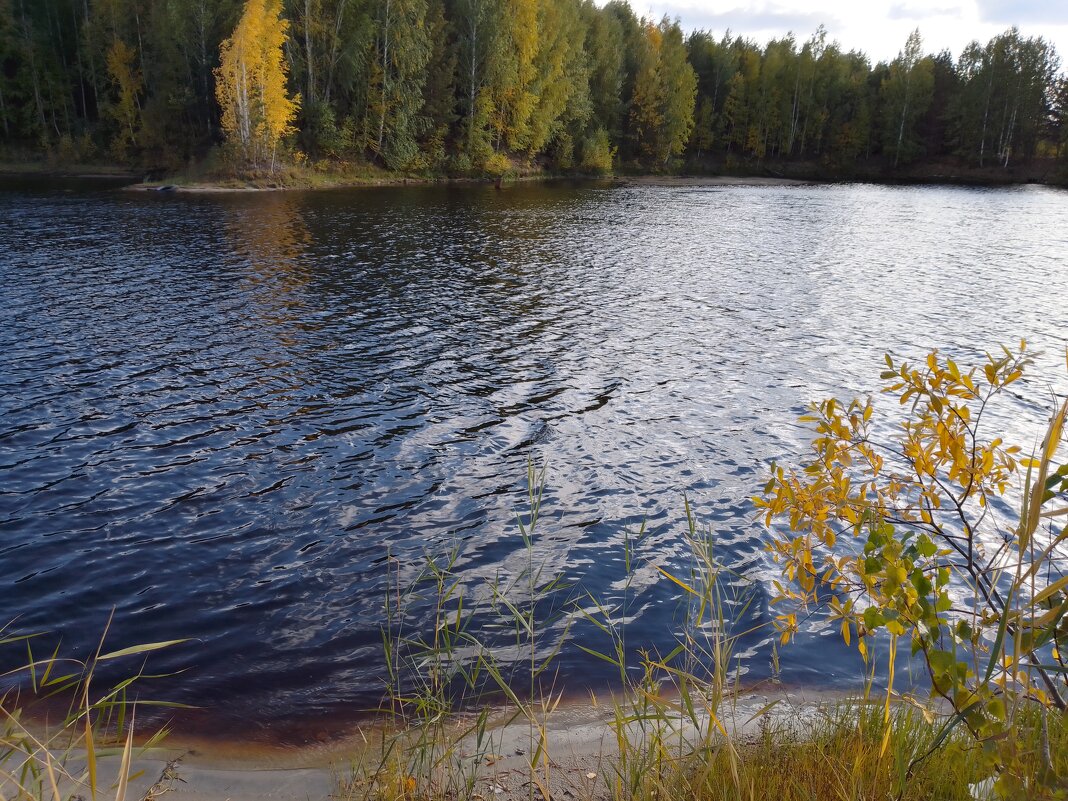 озеро в лесу - Евгений Р