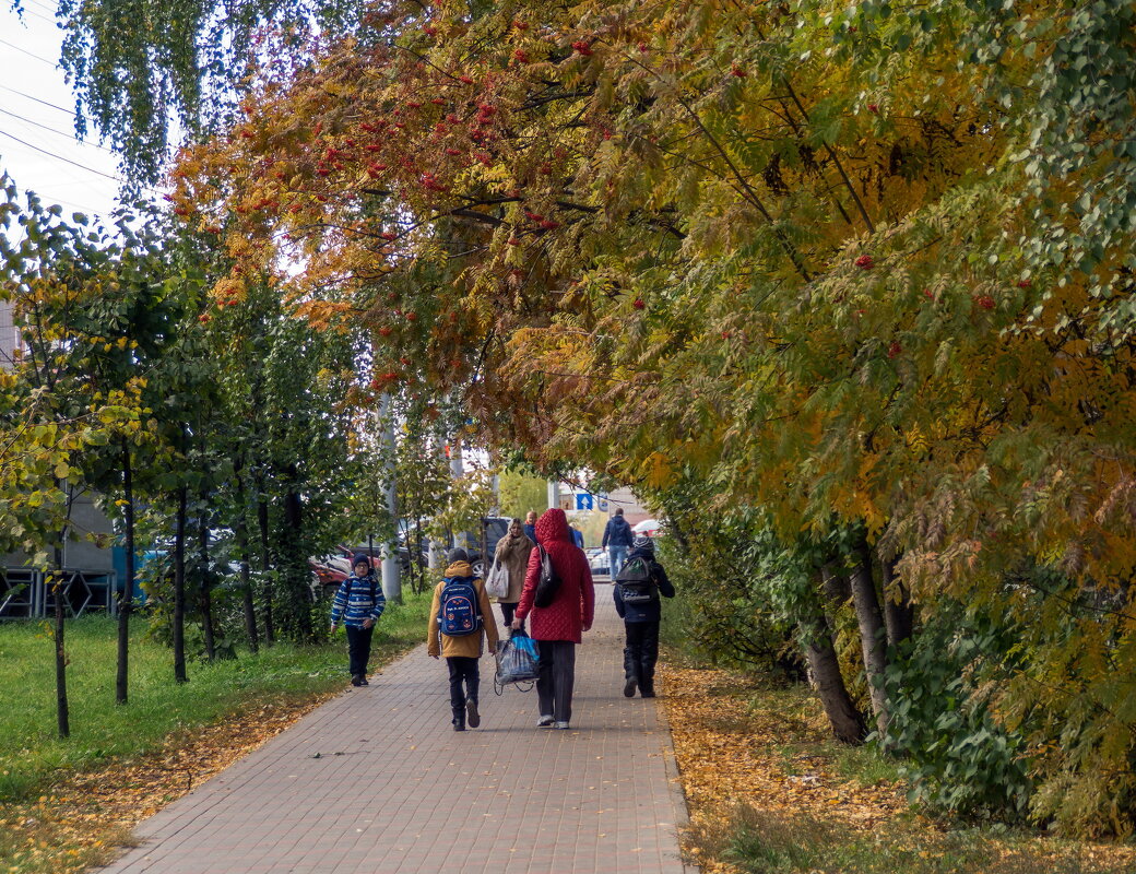 В городе осень - gribushko грибушко Николай