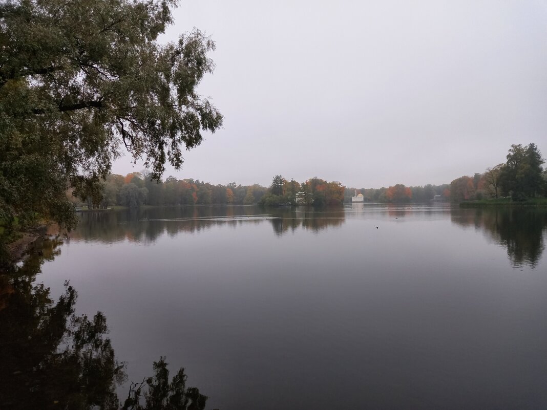 Осень - Сапсан 