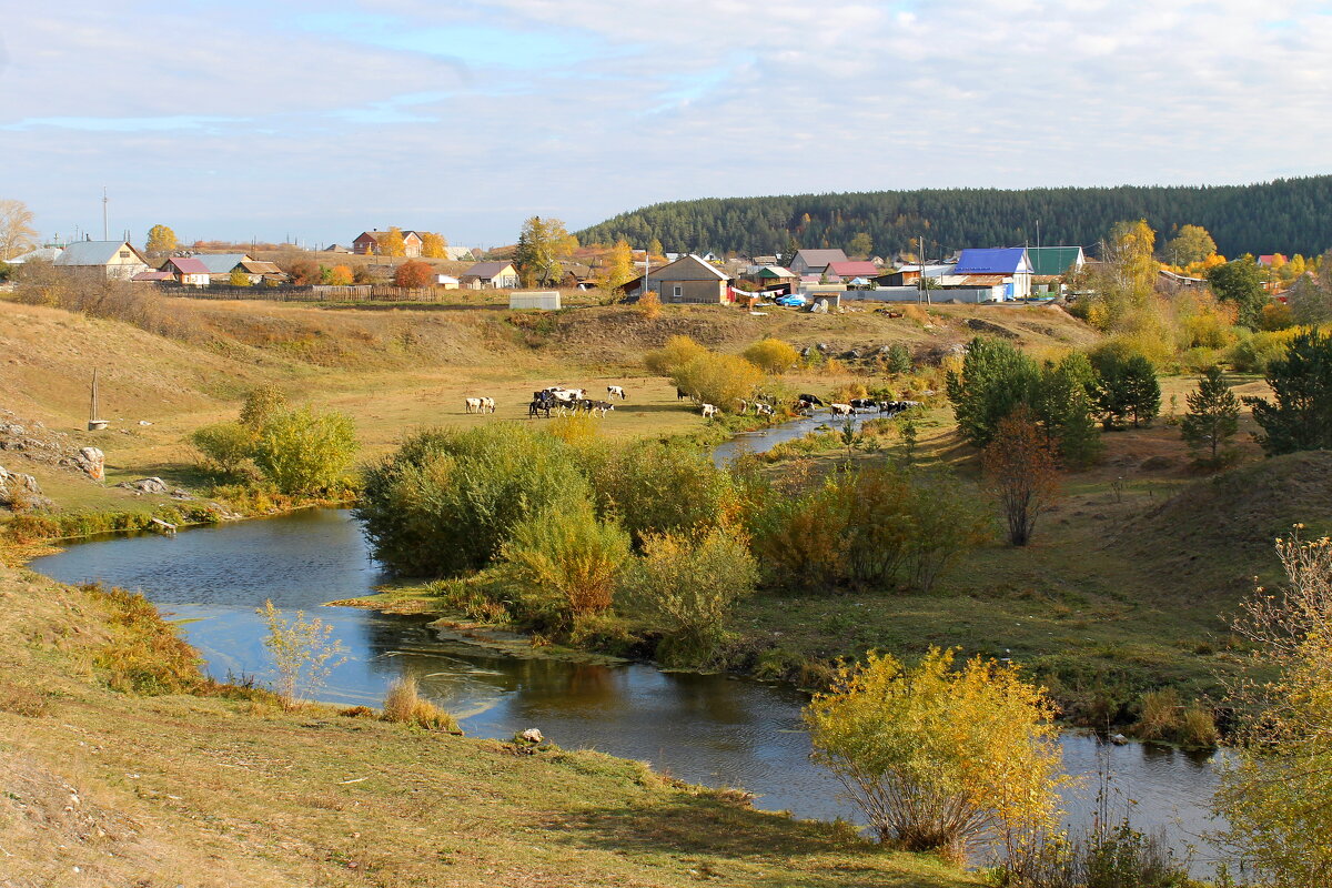 Осень в деревне - tamara kremleva