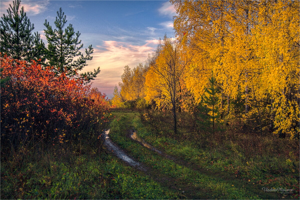 "Золотая осень. Колея"© - Владимир Макаров