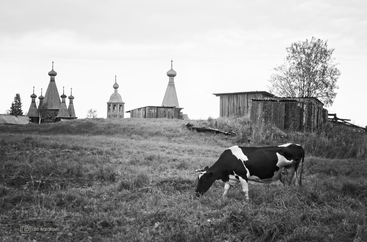 Нёнокские зарисовки - Тата Казакова