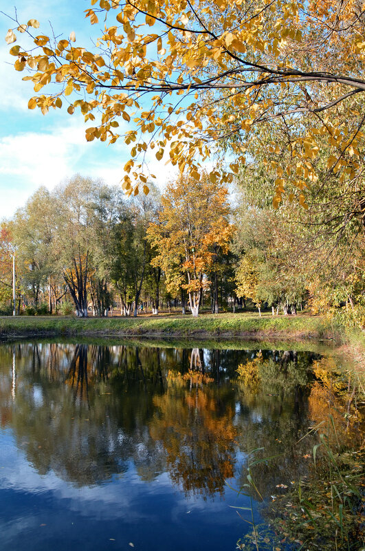 Осенний парк - Нина Синица