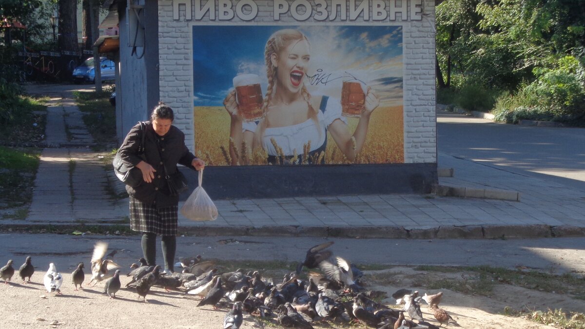 В любви к пиву и к голубям бесплатна только радость жизни!.. - Alex Aro Aro Алексей Арошенко