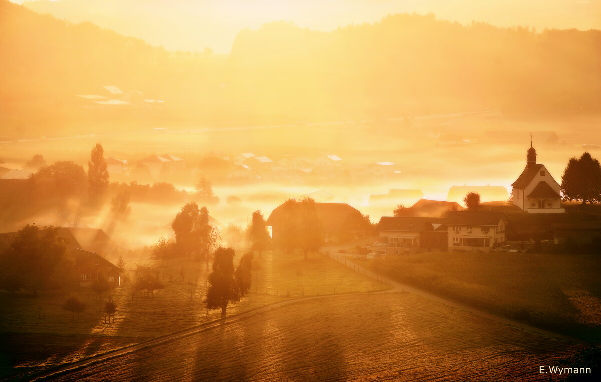 misty morning - Elena Wymann