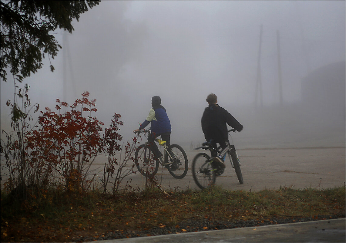 Густой туман и велосипеды. - Валентин Кузьмин