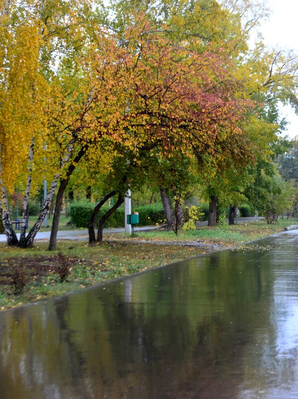 Осень в Омске - Savayr 