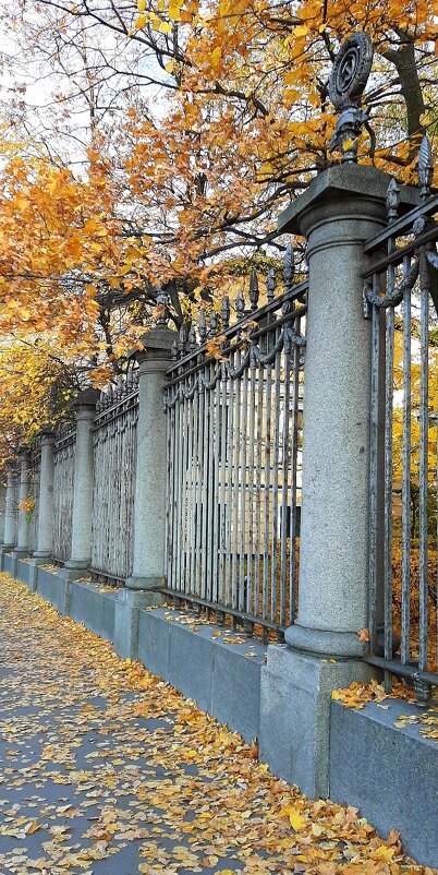 Ограда Измайловского сада - Наталья Герасимова