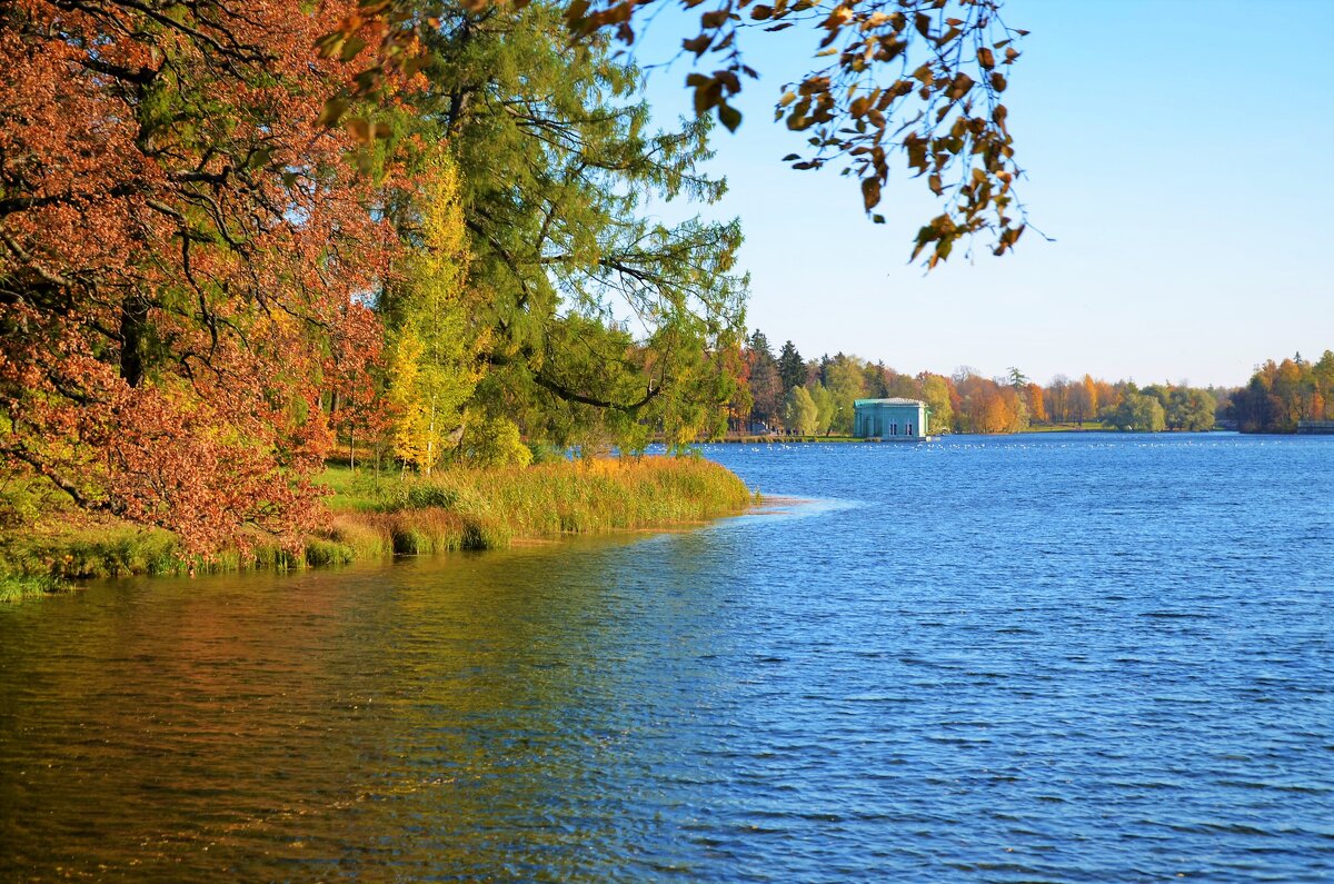Золотая осень в Гатчинском Дворцовом Парке... - Sergey Gordoff