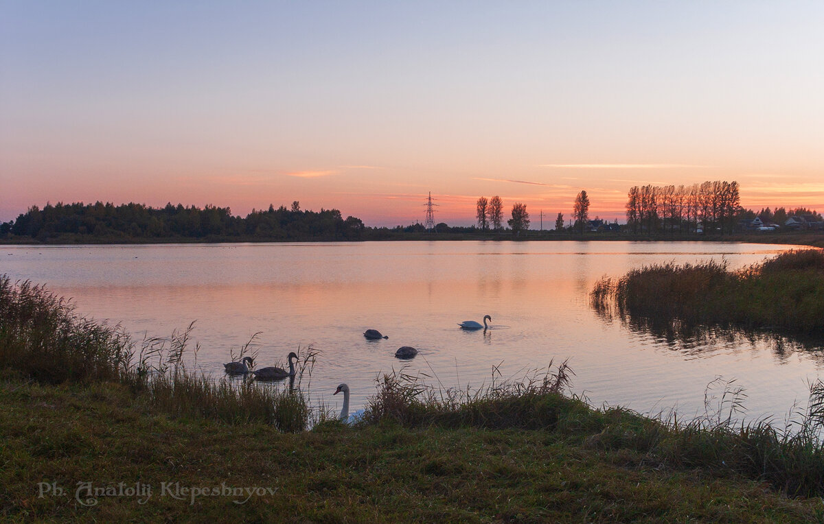 Мирная идиллия на озере на закате дня.  (Снято на Minolta Dimage 7) - Анатолий Клепешнёв
