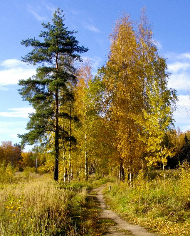 Тропинка в осень. - Лия ☼