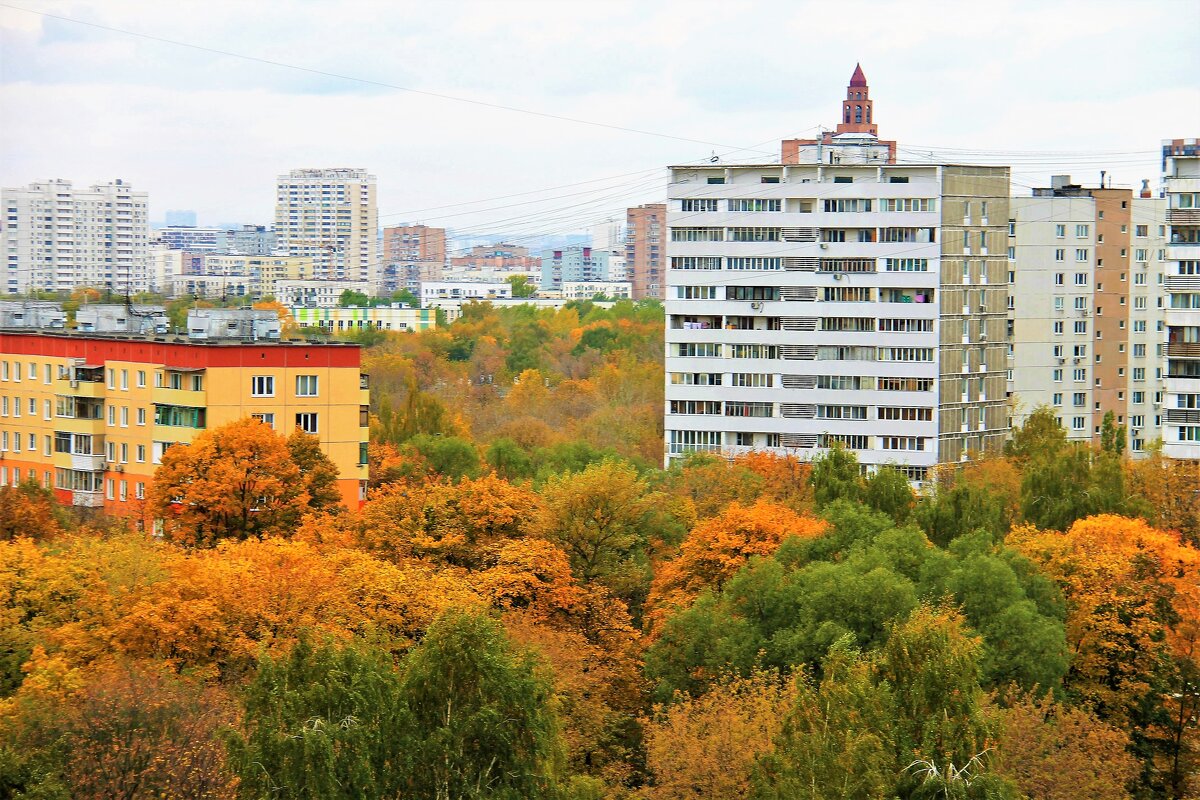 ОСЕНЬ ПОД МОИМ ОКНОМ - Валентина 