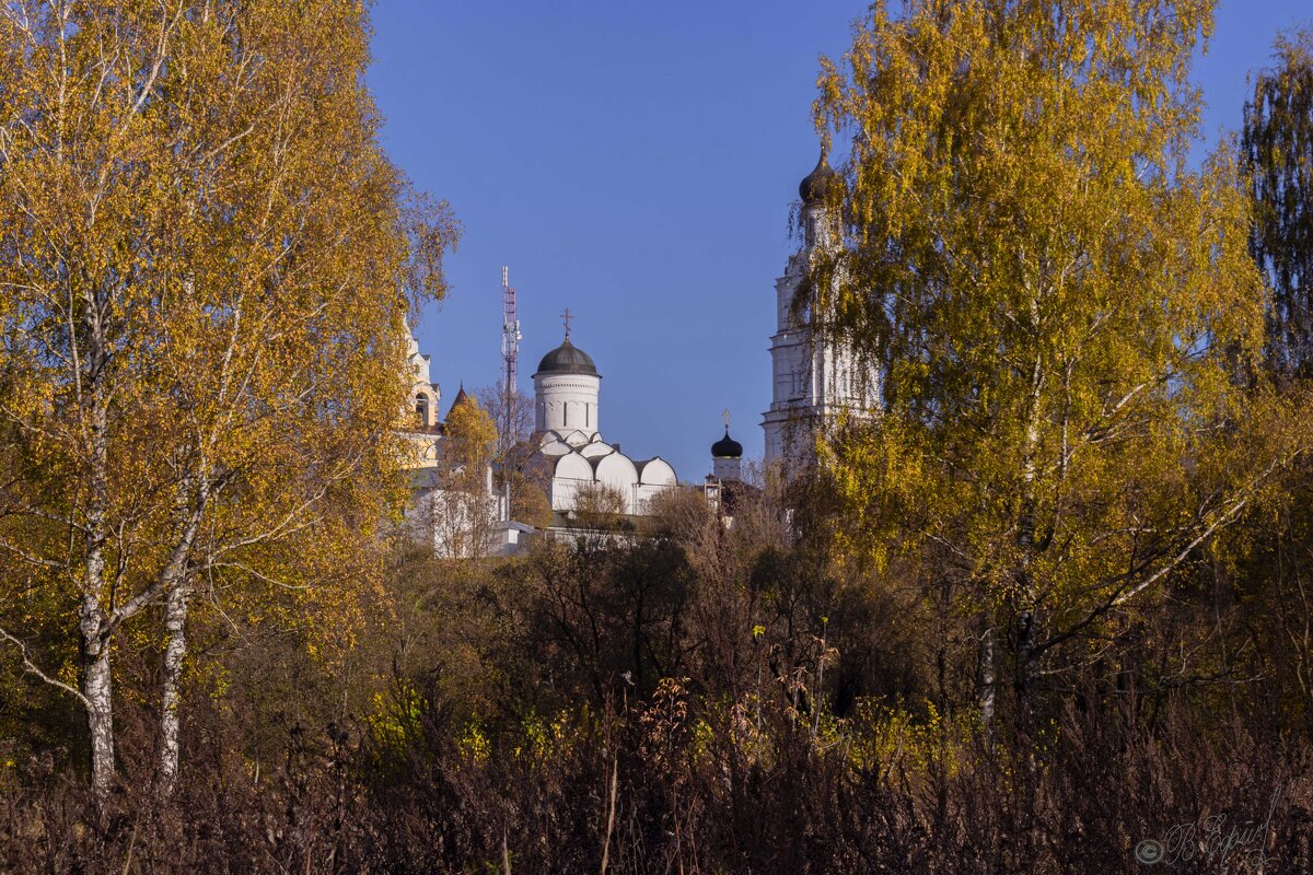 Свято-Благовещенский женский монастырь - Владимир Ефимов