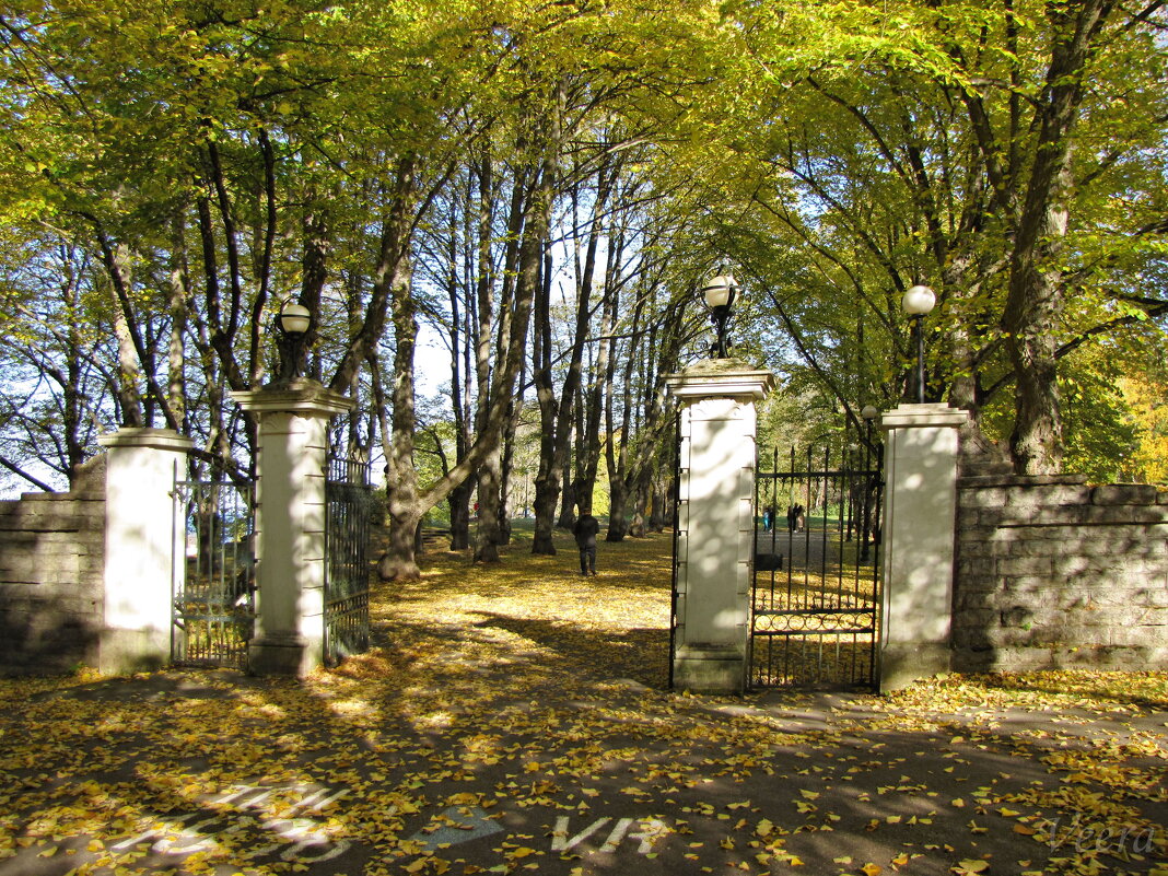 Ворота в  парк Тойла-Ору - veera v